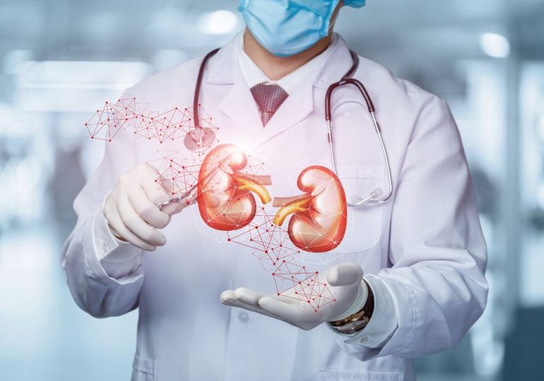 Pela 1ª vez, cientistas conseguem restaurar função das células do rim