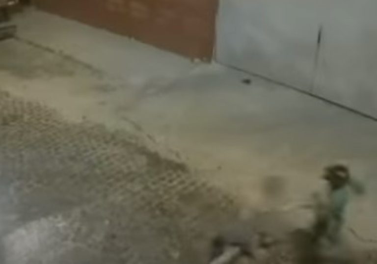 Grávida é assassinada a tiros no RJ e bebê morre horas depois de nascer