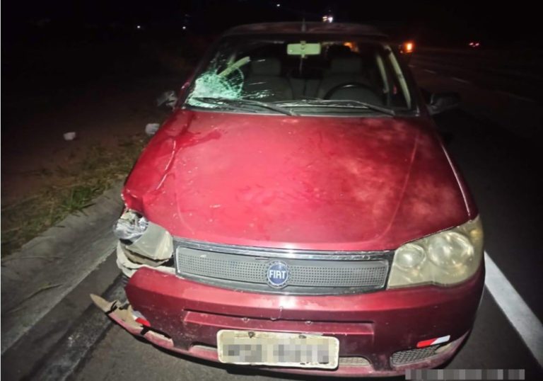 Vítima de atropelamento na BR-101 tinha idade média de 20 anos, diz PRF