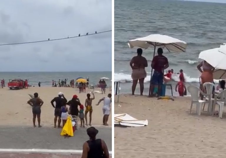 Banhista é detido por se recusar a sair de praia após ataque de tubarão em PE