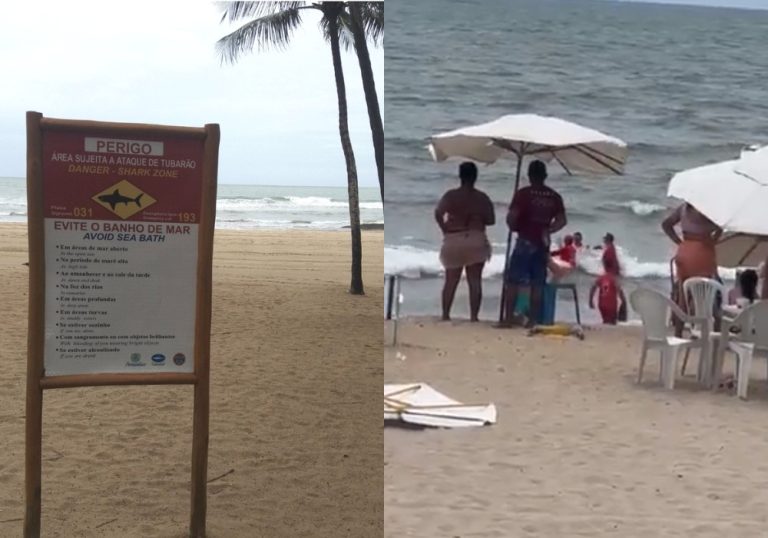 Surfistas relatam ‘clima de terror’ por novos ataques de tubarões em PE