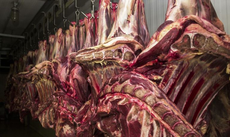 China suspende embargo à carne bovina brasileira