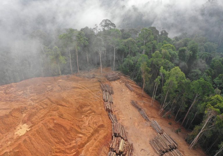 Brasil registra alta na emissão de gases de efeito estufa