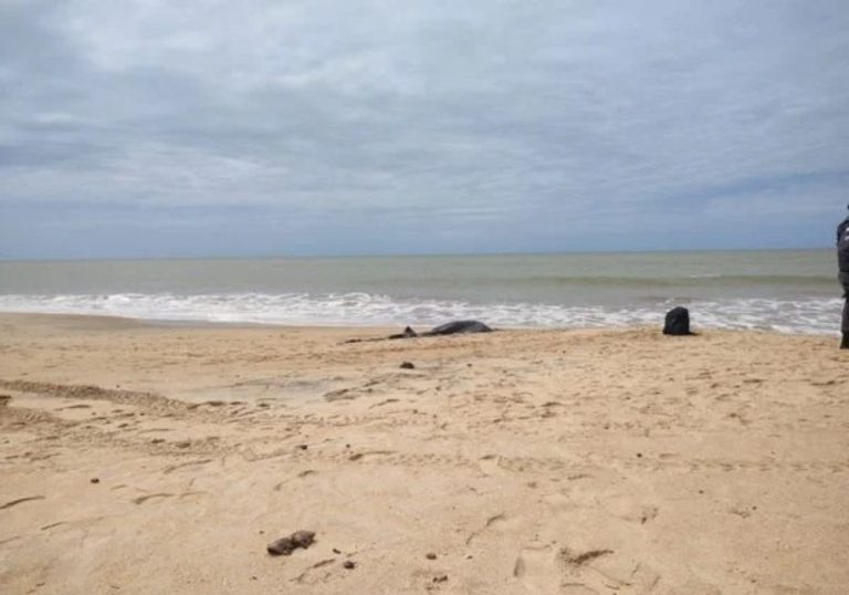 Homem que desapareceu no RJ é encontrado morto em praia do ES