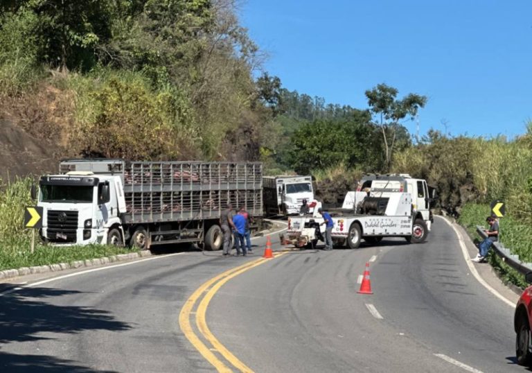 Caminhão com porcos apresenta problema na pista e interdita BR-262 no ES