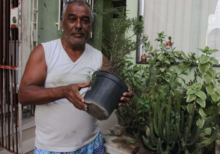 Dengue já matou 15 e casos de chikungunya dobram