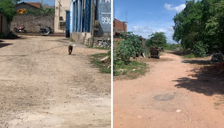 Vizinho atira no outro após briga por cachorro em Vila Velha
