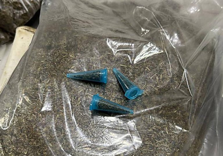 Fentanil já é encontrado no Brasil misturado a outras drogas