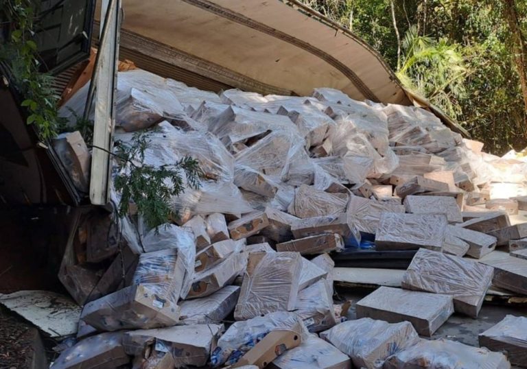 Carreta tomba com 28 toneladas de frango congelado em rodovia do ES