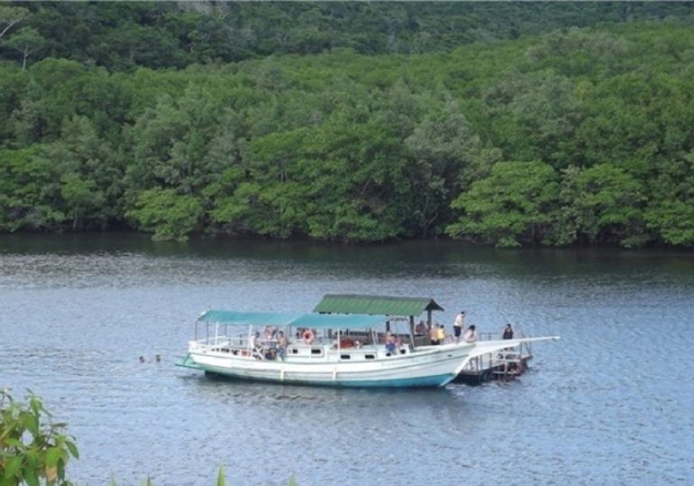 Passeios em Aracruz para conhecer praias e manguezal