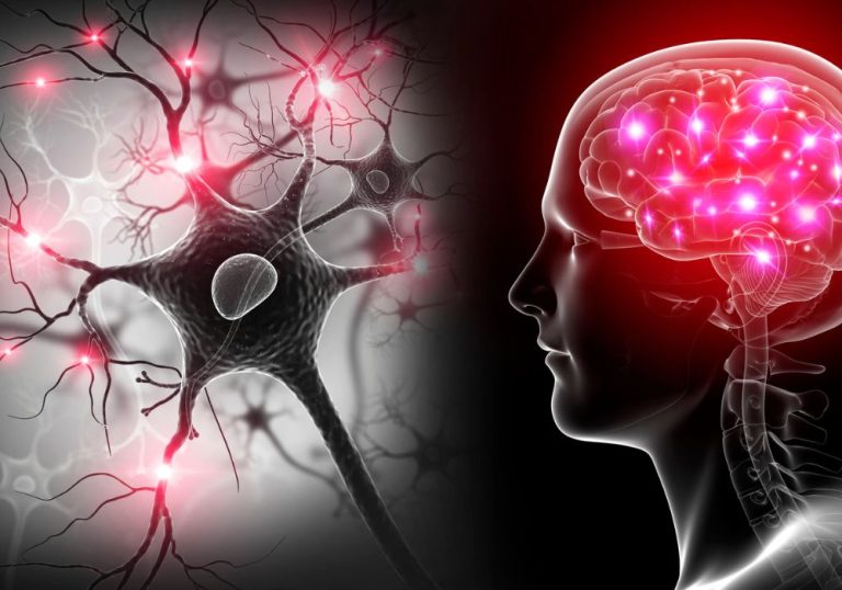 Declínio cognitivo está associado ao estilo de vida, diz pesquisador