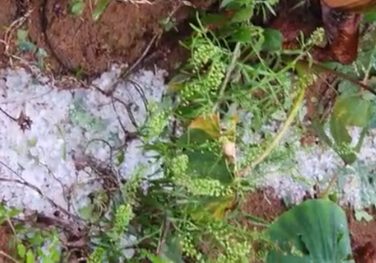 Moradores registram chuva de granizo e ventania na Região Serrana