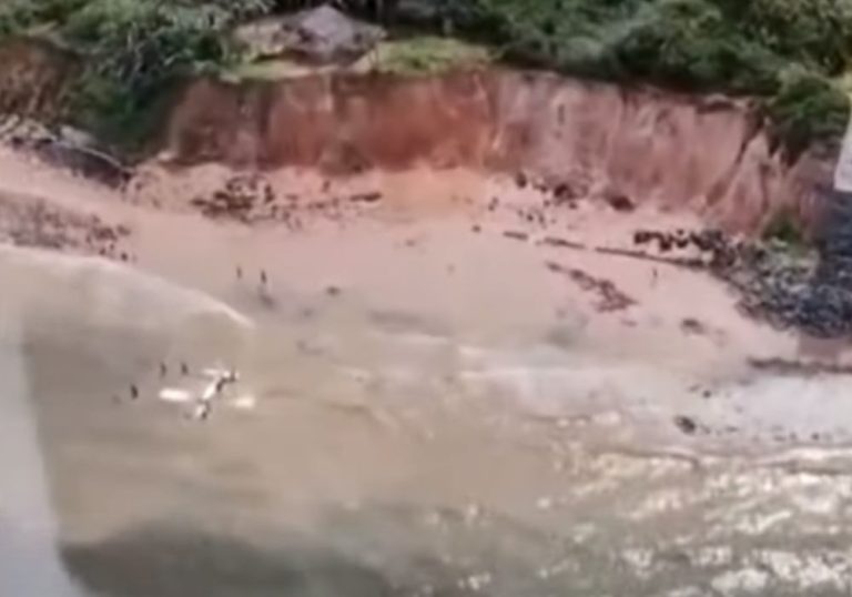 Quatro pessoas ficam feridas após avião fazer pouso forçado em praia do Maranhão