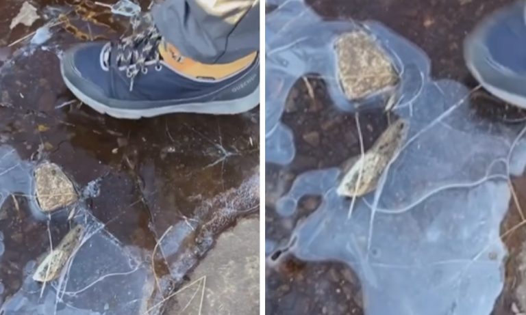 FOTO | Região do Caparaó amanhece com água congelada
