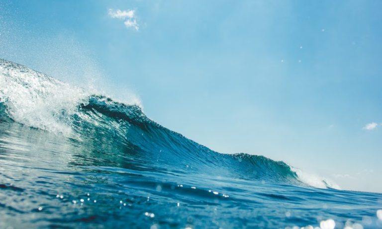 Surfista pensa ser mordida por caranguejo após ser atacada por tubarão
