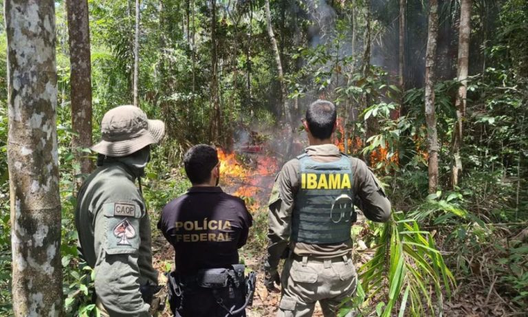 Ibama e PRF queimam avião e veículos usados por garimpo em área yanomami