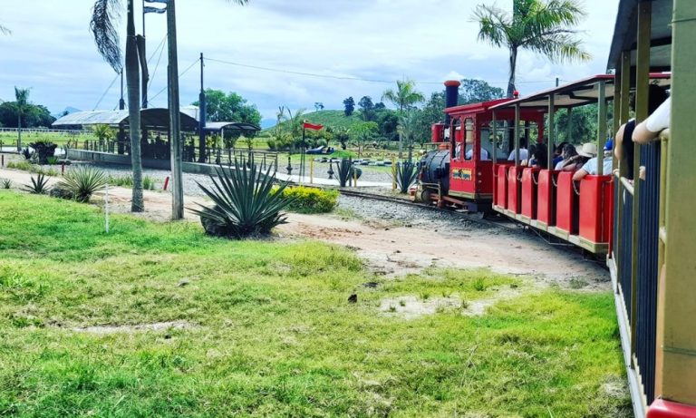 Caçadores na TV: Roteiros de Agroturismo na região rural de Vila Velha