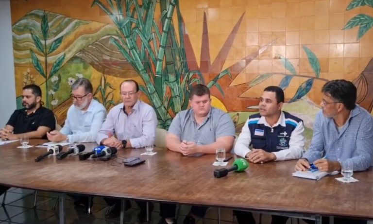 ES registra mais 4 casos suspeitos de gripe aviária em aves