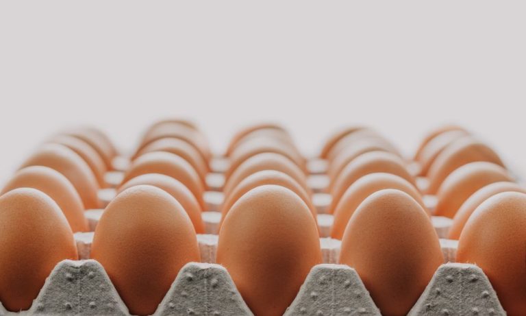 Cientistas criam ovos geneticamente modificados que não provocam alergia