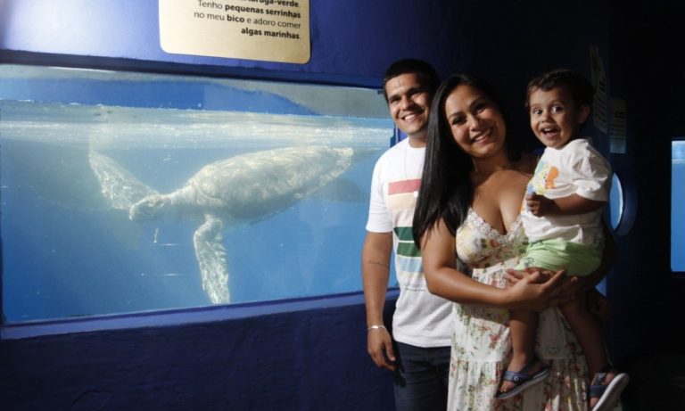 Diversão e aventura em contato com a natureza