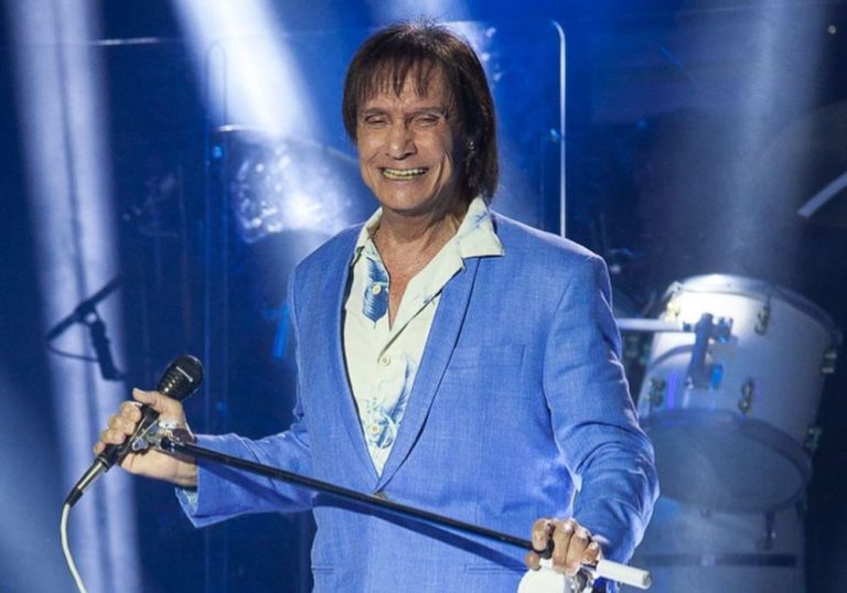 Avião com músicos de Roberto Carlos faz pouso após acidente com pássaro