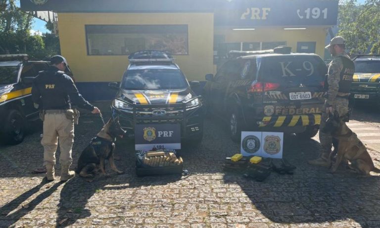 Cães da PRF encontram mais de 40 kg de drogas em ônibus com destino ao ES