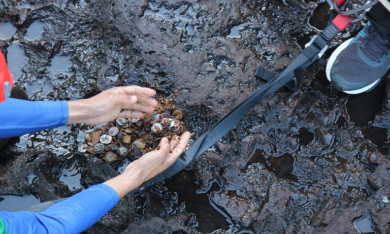 Cerca de R$ 3 mil em moedas são retirados de rio nas Cataratas do Iguaçu