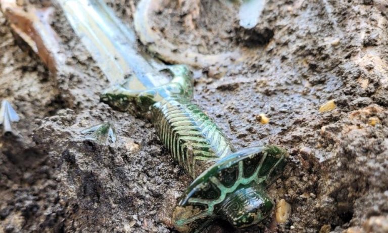 FOTO | Espada de mais de 3 mil anos é encontrada na Alemanha