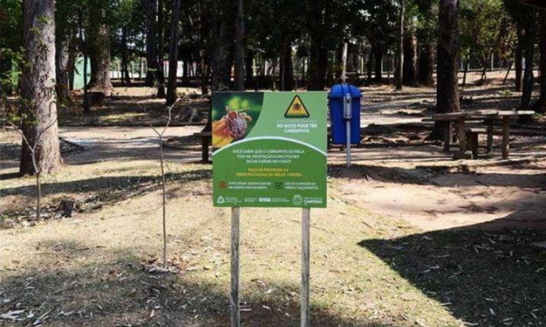 Febre maculosa: SP tem 3ª morte com suspeita da doença