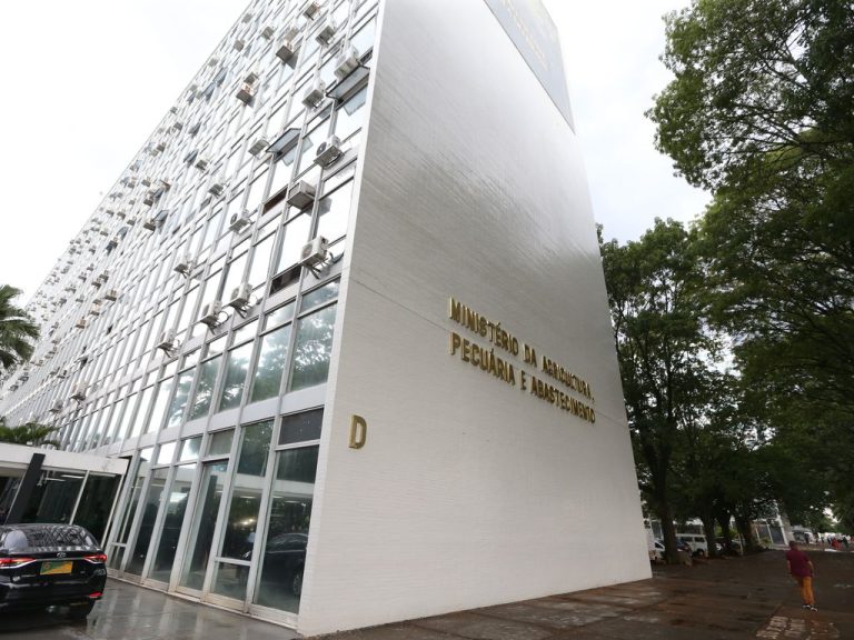 Governo abre crédito de R$ 200 milhões para combater gripe aviária