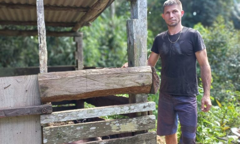 Ibama vai investigar ataque de onça em chiqueiro na região Serrana do ES