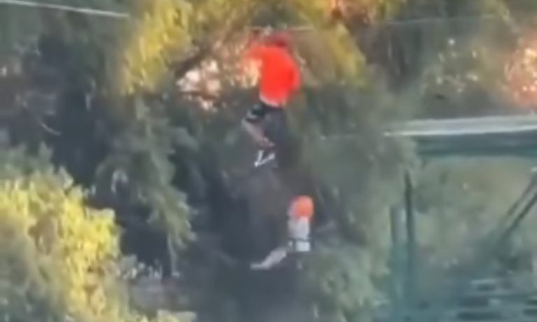 Menino de 6 anos cai de tirolesa e sobrevive a queda de 12 metros no México