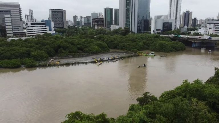 Prefeitura retira viveiro clandestino de camarões no Rio Capibaribe
