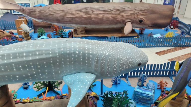 Recife recebe a exposição “O Fantástico Mundo Marinho”