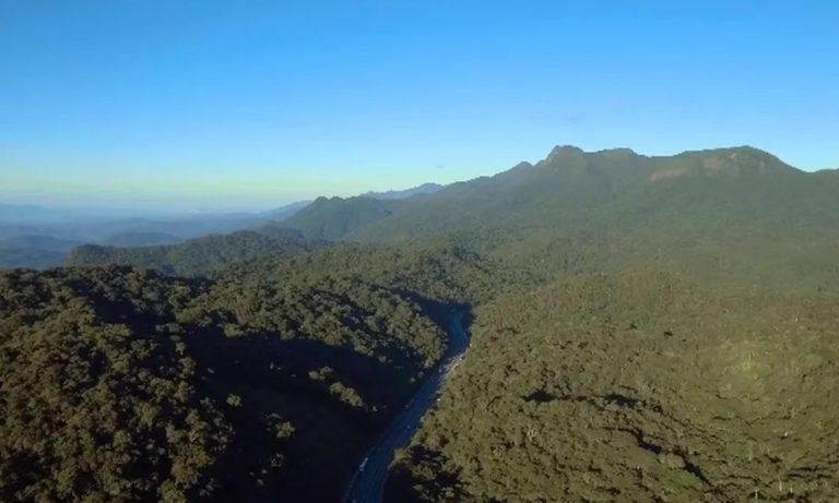 Avião com servidores públicos desaparece no PR