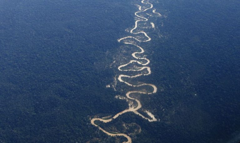 Corpo de criança morta durante ataque a tiros em terra yanomami é encontrado
