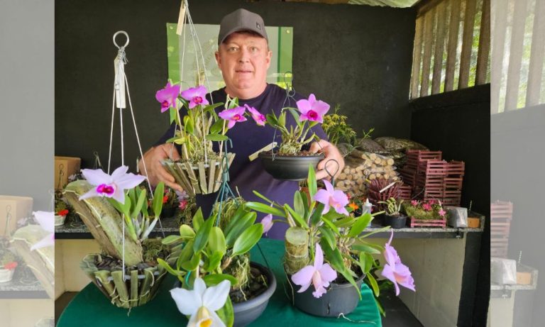 Festa, cultura e lazer na cidade das orquídeas no ES
