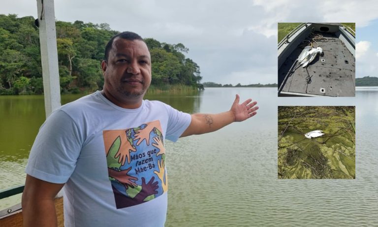 Garças aparecem mortas em lagoa de Anchieta