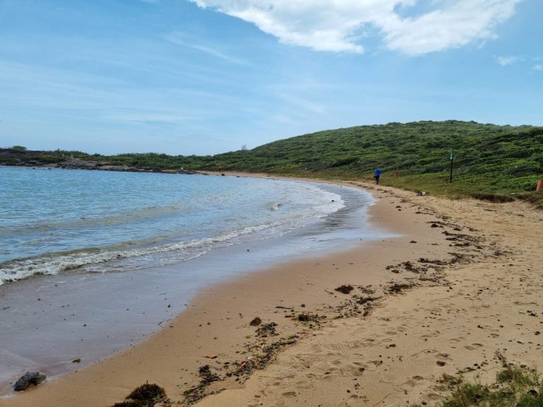 Namorada de jovem que teve a barriga aberta em praia de Guarapari é inocentada