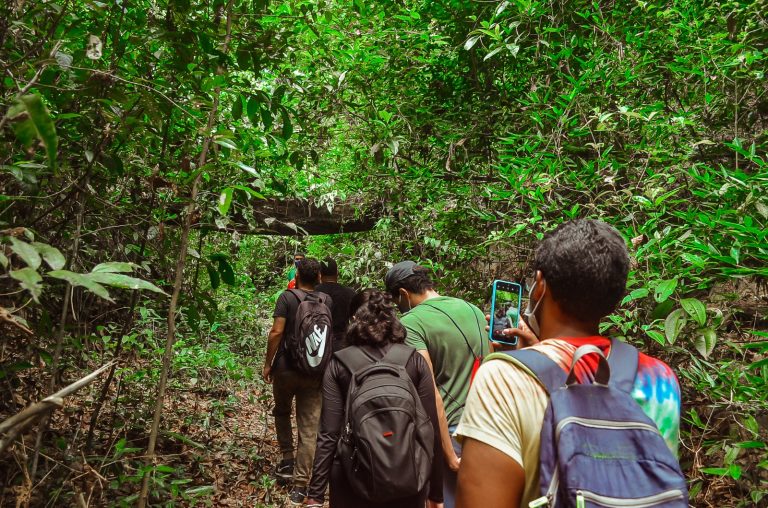 Parque Dois Irmãos oferece trilhas na mata para visitantes