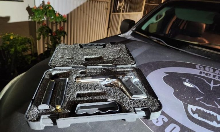Polícia Civil cumpre mandados em operação contra grupos de vendas de armas no ES