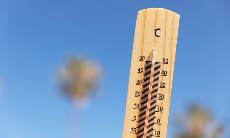 Terra tem o mês de junho mais quente já registrado na história, diz observatório