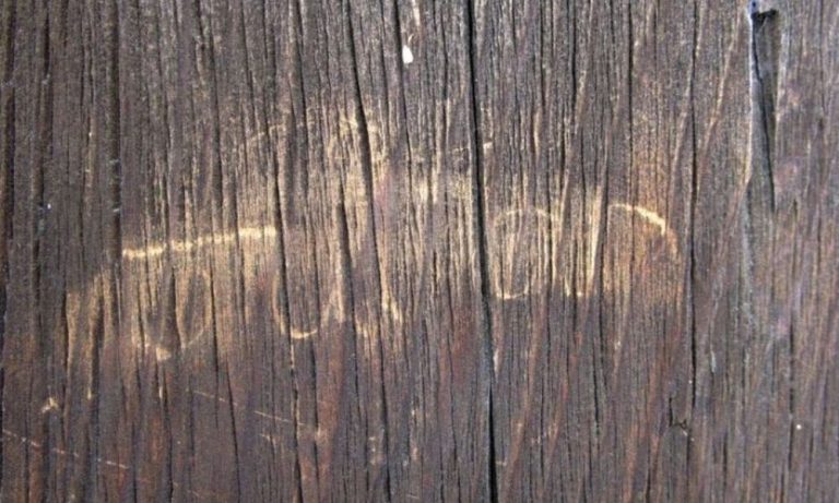 Turista de 17 anos é flagrado vandalizando templo japonês do século 8