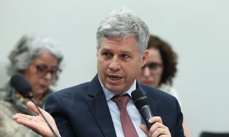 Ambientalistas denunciam desmatamento às margens de rodovia amazônica