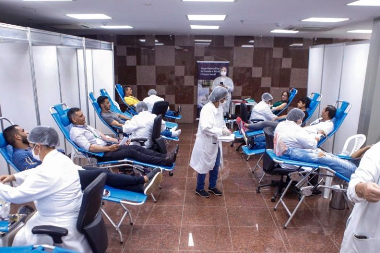 Campanha de doação de sangue pode salvar mais de 400 vidas
