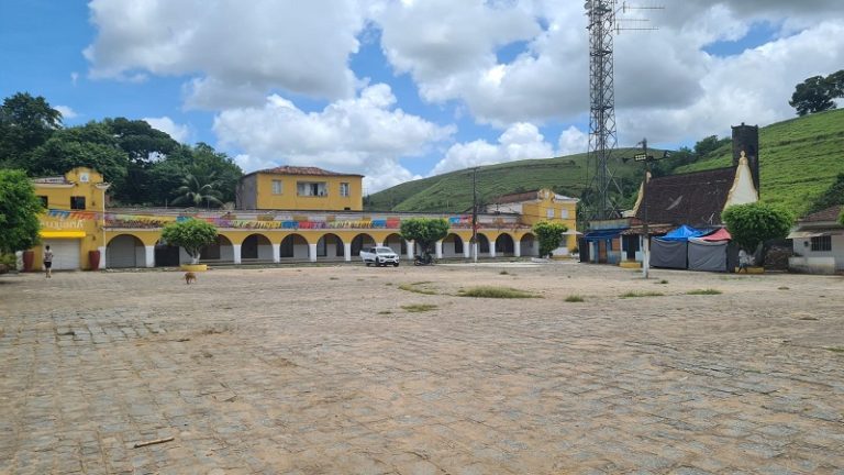 Confira os destaques do Notícias do Campo deste domingo