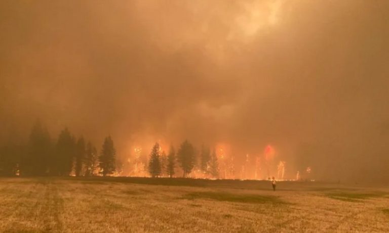 Incêndios florestais forçam retirada de 30 mil pessoas no Canadá