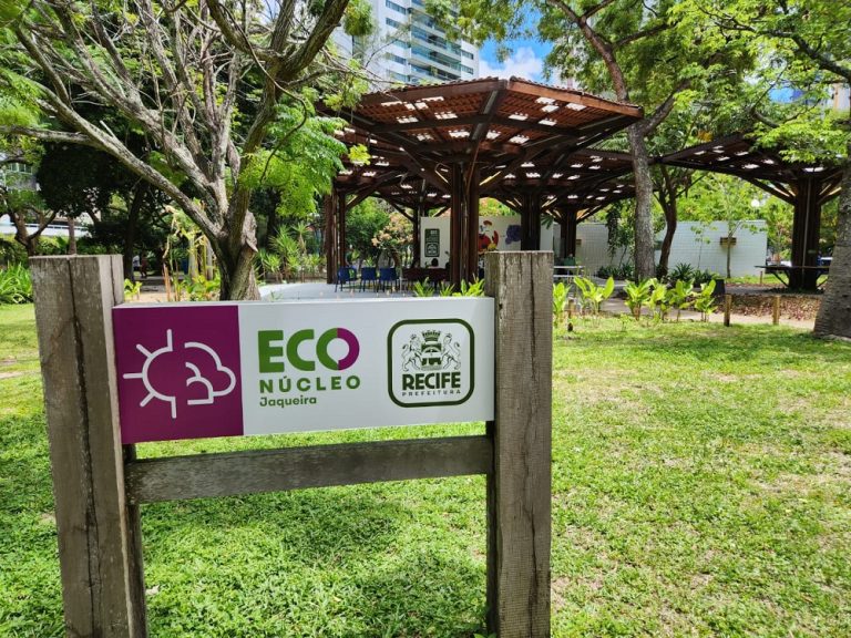 Jaqueira é ponto de coleta de potes de vidro para armazenar leite materno