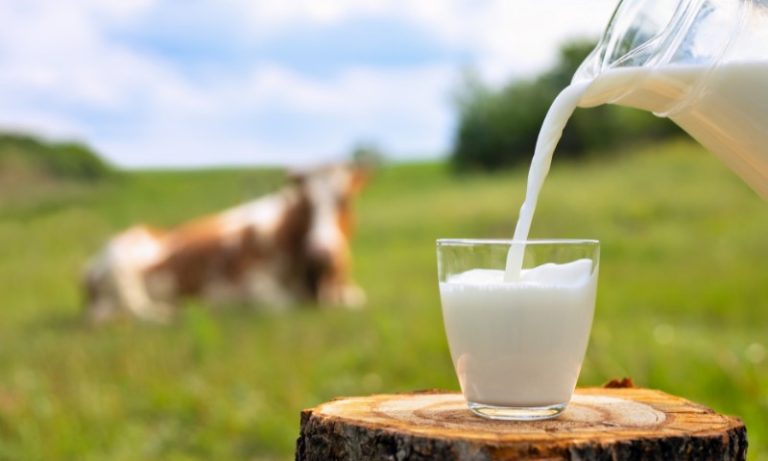 Leite cai mais de 35% no campo e diminui custo da cesta básica
