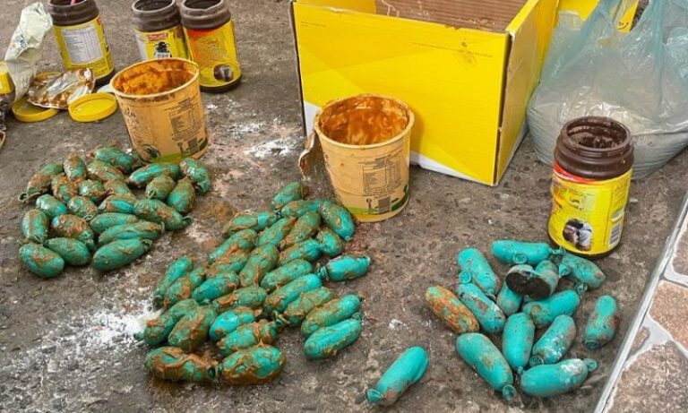 Polícia Federal apreende haxixe enviado pelos Correios do MS para cidades do ES